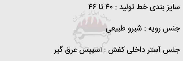 پوتین ایمنی نسوز پای آرا مدل آلپینا