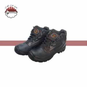 پوتین ایمنی نیواکولوژیک فرزین